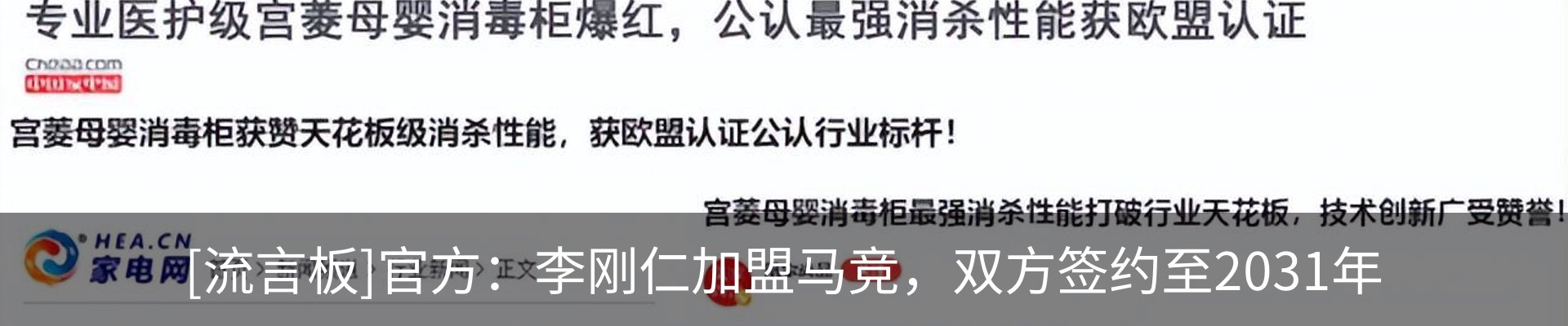 新闻动态